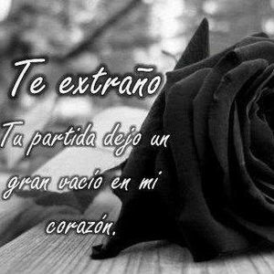 Meet your Posher, Ursula